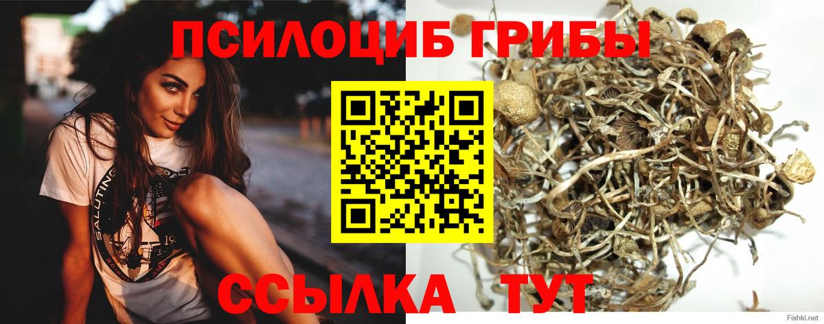 Псилоцибиновые грибы Magic Shrooms Дзержинский